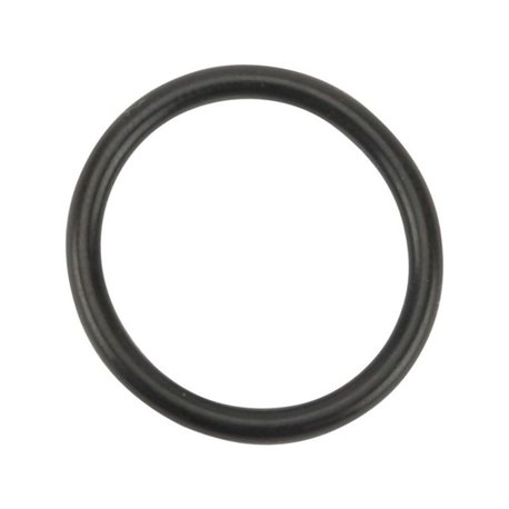 Pierścień oring, 22,22  x  2,62 mm
