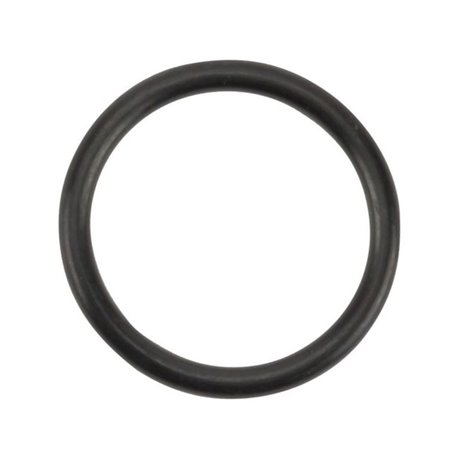 Pierścień oring, 21,90  x  2,62 mm
