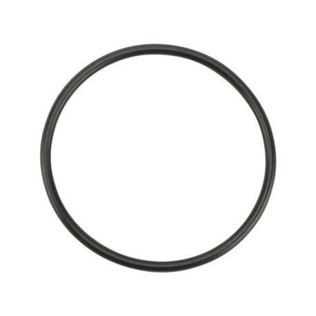 O-ring 48,90 x 2,62 90 Shore