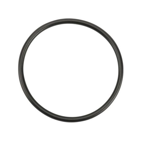 O-ring 44,12 x 2,62 90 Shore