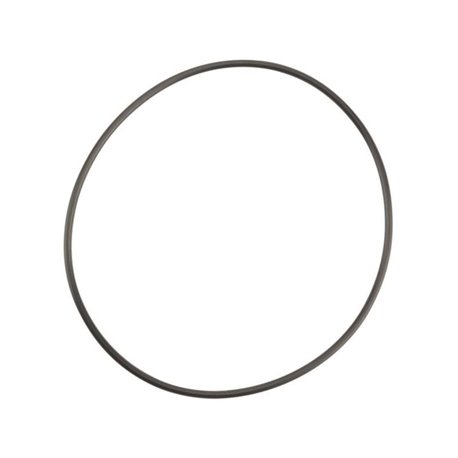 Pierścień oring, 101,27  x  2,62 mm