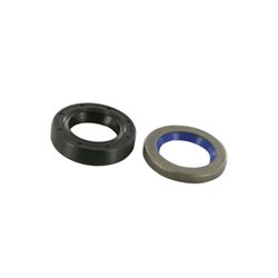 Zestaw pierścieni uszczelniają 3405555R2 Case IH 3405555R2
