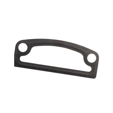 Pierścień uszczelniający, CNH 87584754 Case IH 87584754