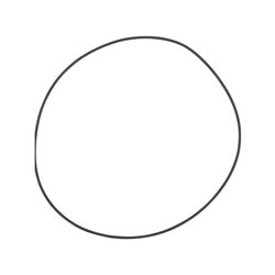 Pierścień samouszczelniający X549033600000 Fendt 23-X549033600000