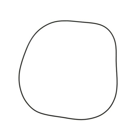 O-ring 83417133N