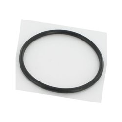 Pierścień uszczelniający 70923855 New Holland 70923855