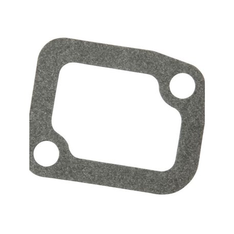 R54641 John Deere Uszczelka termostatu,