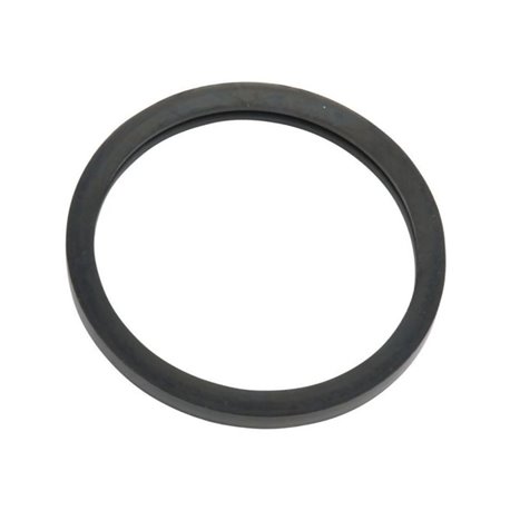 Uszczelka termostatu 000712580 SDF 000712580