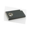 Pawl ii 812132536X