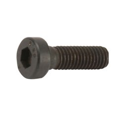 Śruba imbusowa z niskim łbem kl. 8.8 ocynk , M5 × 16 mm