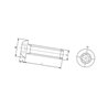 Wkręt grzybkowy Torx A2 , M8 x 40 mm