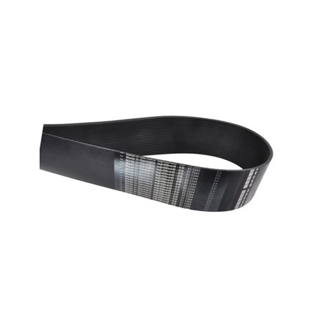 Amazone EG009 Pasek napędu, 24 PJ x 1244 mm