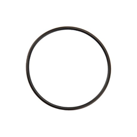 Amazone FC144 Oring 57.0x2.5 mm