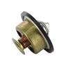 RE538806I John Deere Termostat fi54 79°C pasuje do John Deere