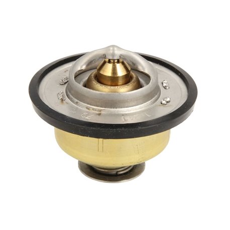 RE538289I John Deere Termostat fi54 79°C pasuje do John Deere