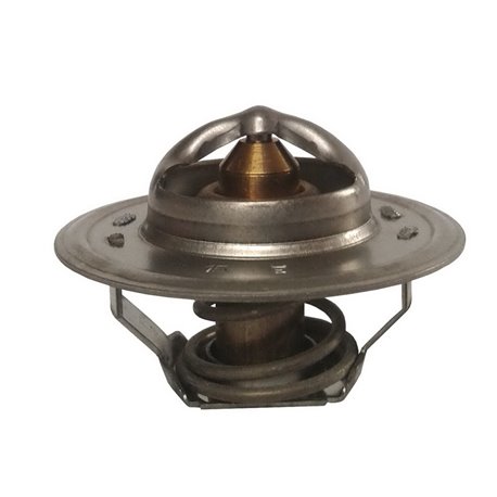 Termostat K200831 fi54 82°C pasuje do David Brown