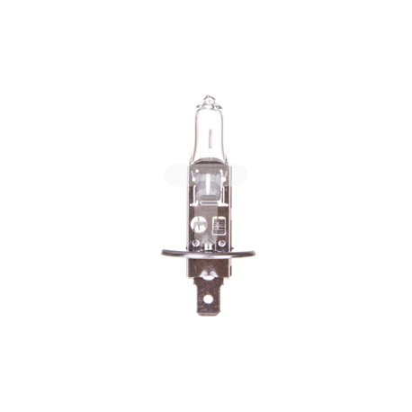 Żarówka H1, 12 V, 55 W Żarówka 12 V