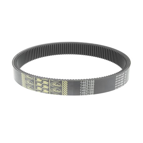 Claas 000670224, 670224, Pas klinowy 40x13x893Ld Gates 1462186 Optibelt 4014486497380