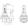 Żarówka Bulb 12 V H9 Żarówki KRAMP