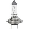 Żarówka PX26d H7 12V 55W