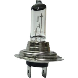 Żarówka 24V 70W PX26D H7 Żarówki KRAMP