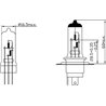 Żarówka 12V 60/55W H4 P43t Żarówki KRAMP
