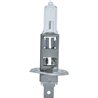 Żarówka P14,5s 12V H1 55W