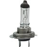 Żarówka PX26d H7 24V 70W LLHD