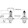 Żarówka Bulb 12V H4 40 Żarówki KRAMP