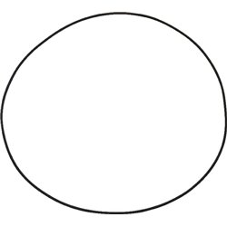 Pierścień uszczelniający o-ring 291.69x3.53mm czarny Comer