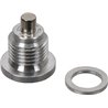 Korek magnetyczny przekładni Comer. 1/4" BSP