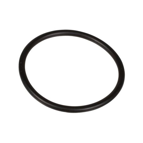 Oring 3,53 x 49,2 803270002 Bertolini 803270002