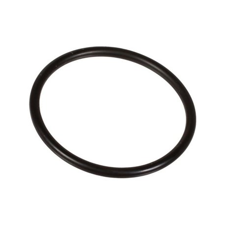Oring 2,62 x 36,14 803208302 Bertolini 803208302