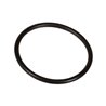 Oring 2,62 x 36,14 803208302 Bertolini 803208302