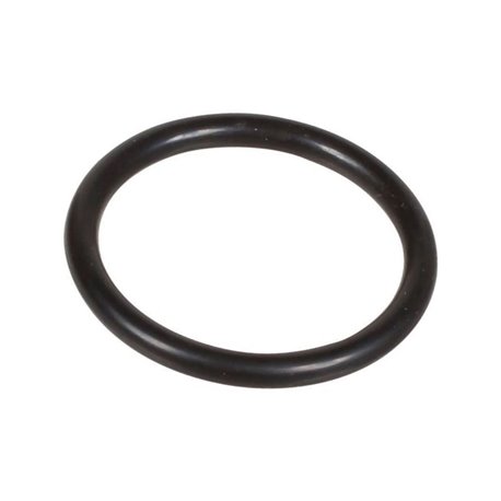 Oring 2,62 x 22,22 803200002 Bertolini 803200002