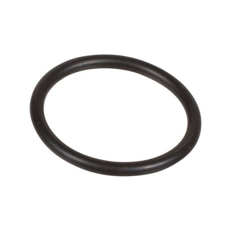 Oring 2,62 x 25,07 803205002 Bertolini 803205002