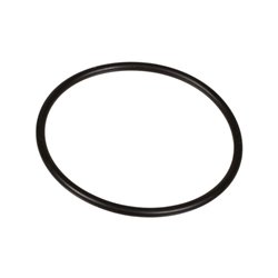 Oring 2,62 x 50,47 803209802 Bertolini 803209802