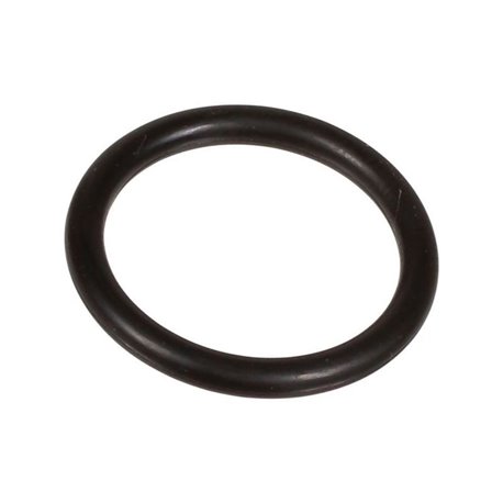Oring 2,62 x 18,72 803189002 Bertolini 803189002