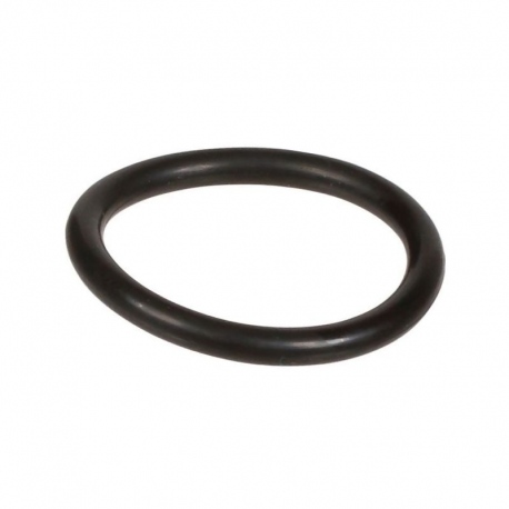 Oring 2,62 x 20,24 803195002 Bertolini 803195002