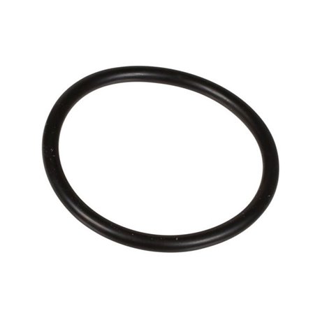 Oring 3,53 x 41,28 803262002 Bertolini 803262002