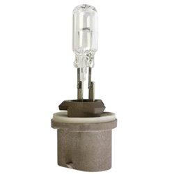 Żarówka PG13 12V 50W