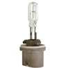 Żarówka PG13 12V 50W