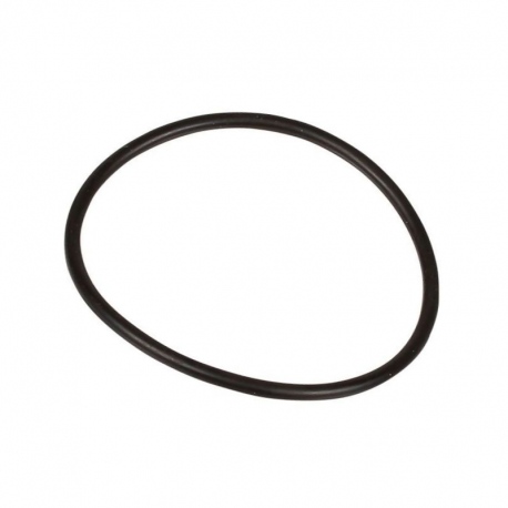 Oring 1,78 x 35,65 803080102 Bertolini 803080102