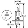 Żarówka P14,5s 12V H1 55W