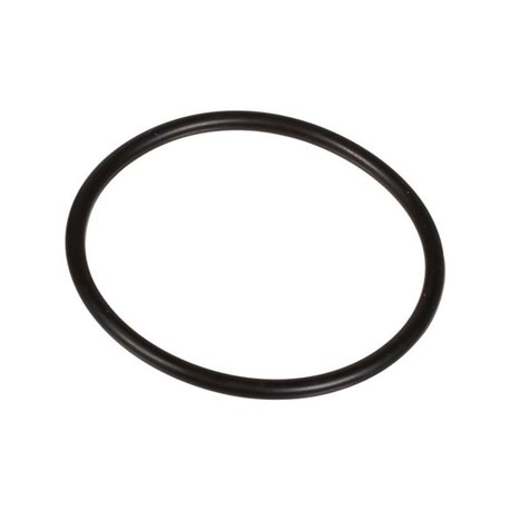 Oring 2,62 x 40,95 803209102 Bertolini 803209102