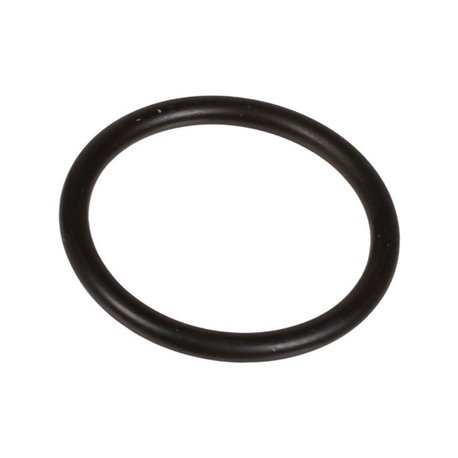 Oring 2,62 x 23,81 803204002 Bertolini 803204002