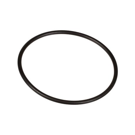 Oring 2,62 x 56,82 803210002 Bertolini 803210002
