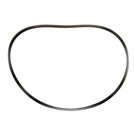 O-ring