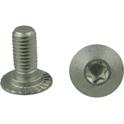 Trioliet śruba Torx M10x23 10,9 84925 Trioliet-Mullos 8716106984985