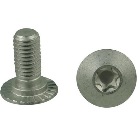 Trioliet śruba Torx M10x23 10,9 84925 Trioliet-Mullos 8716106984985
